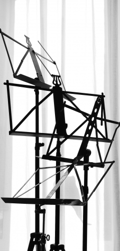 L1140274.JPG